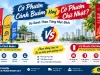 Cờ Phướn Cánh Buồm Hay Chữ Nhật? So Sánh Theo Từng Mục Đích