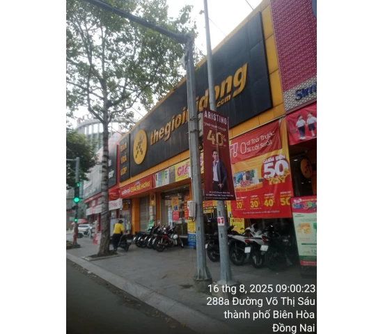 Treo cờ phướn Bạc Liêu