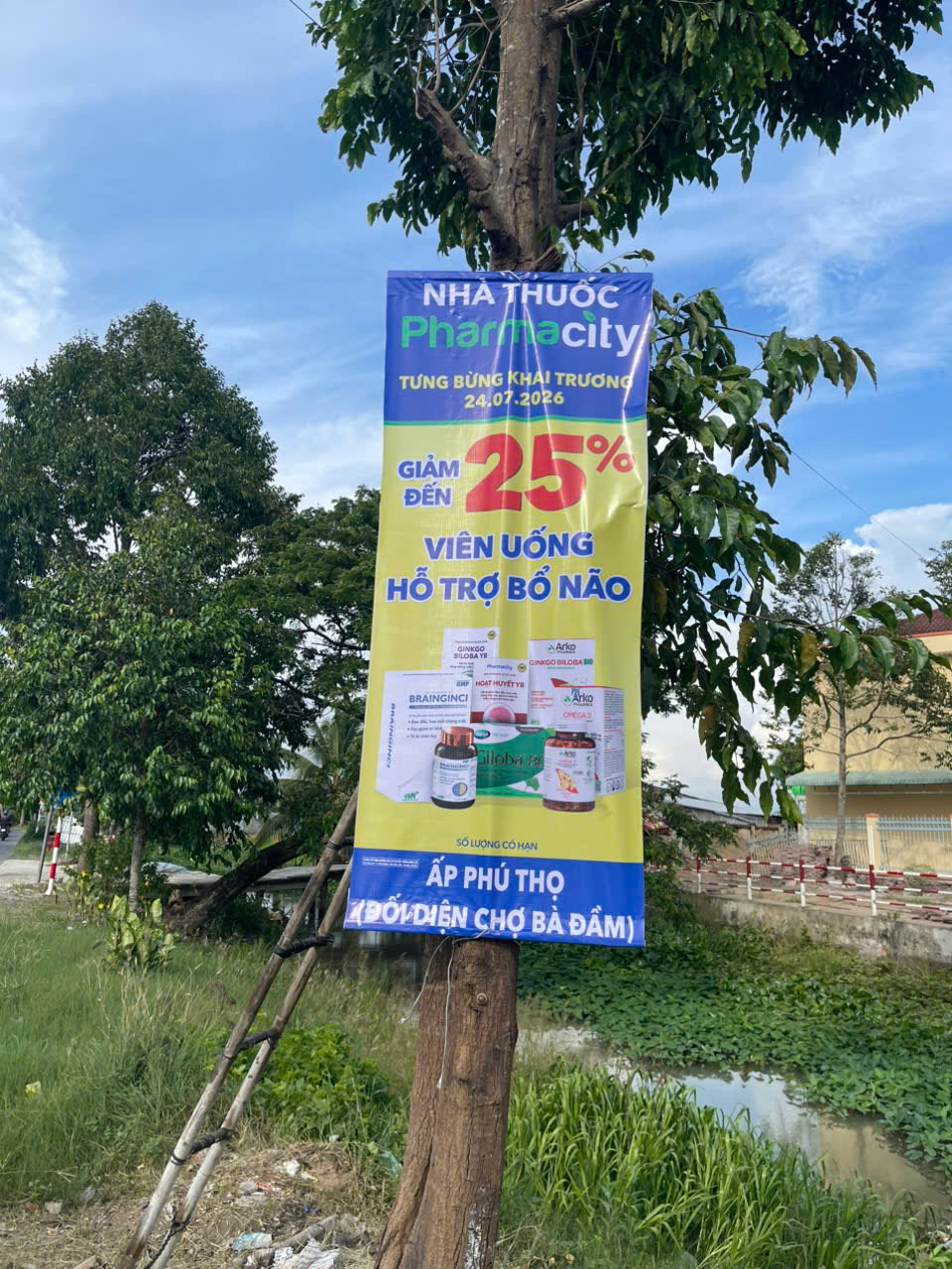 Treo cờ phướn hải phòng
