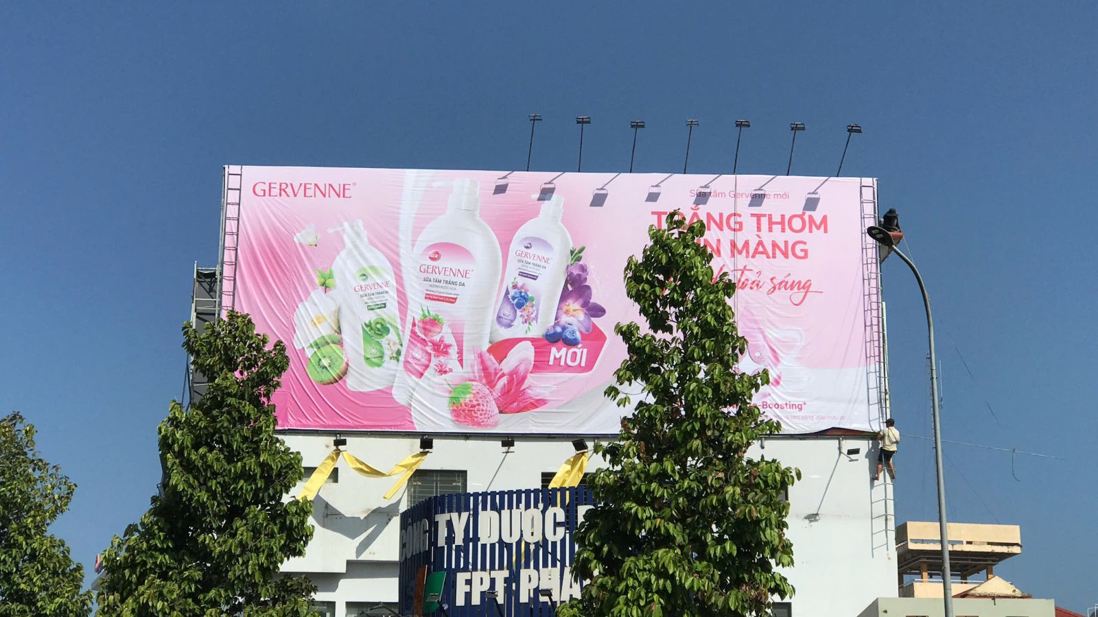 Pano và Billboard