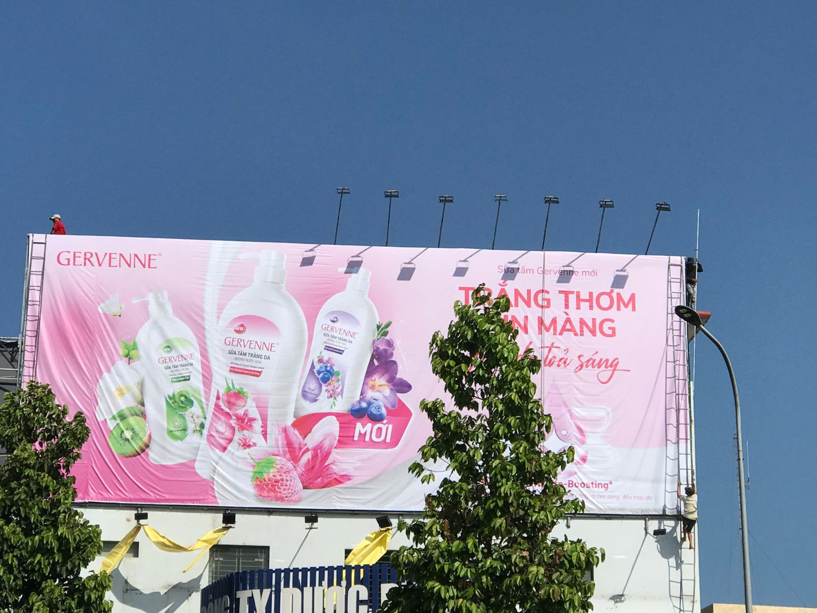 Pano Vĩnh Long