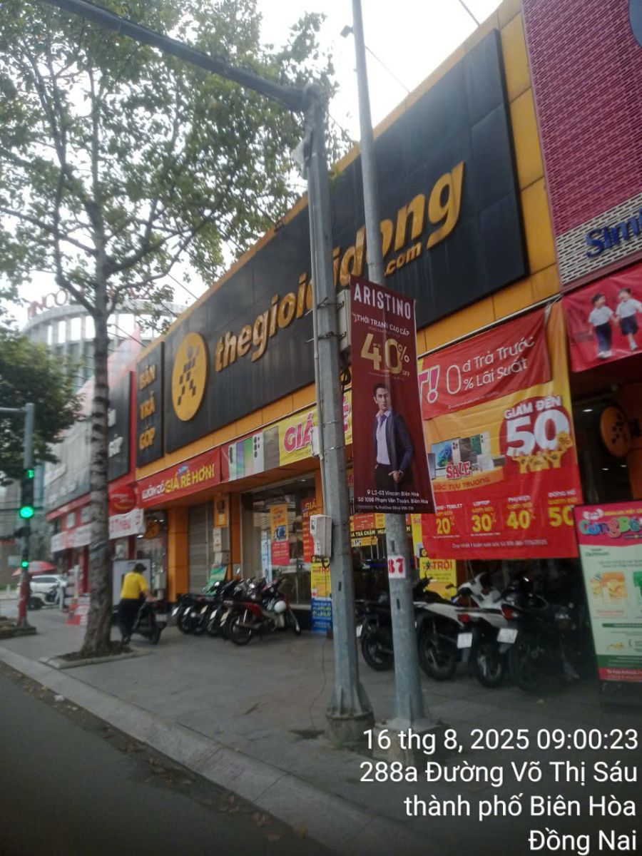 Treo cờ phướn Hậu Giang